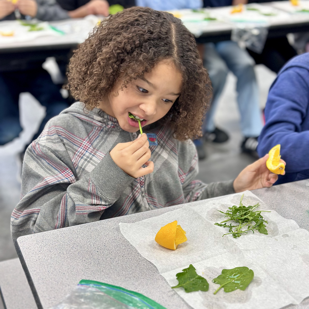 A female student bites a piece of spinach