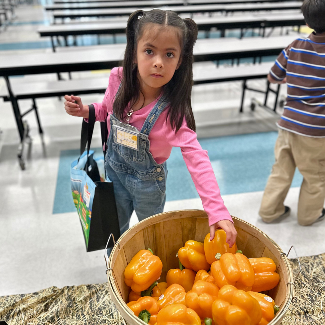 A young girl pics an orange pepper from a basket