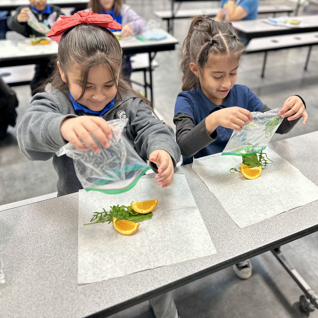 Two female students sorting arugula, spincah, and oranges on a napkin