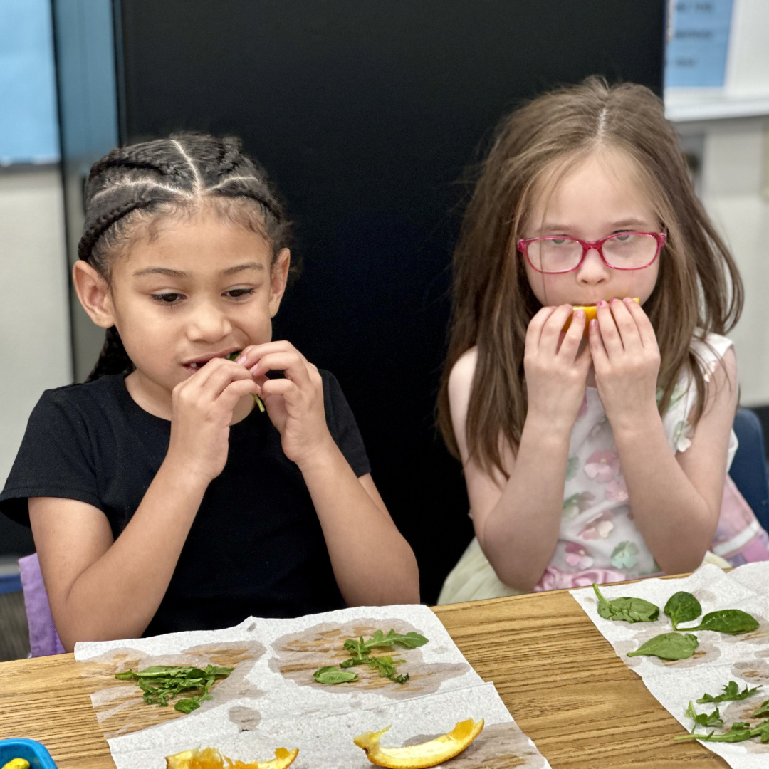Two little girls taste testing produce